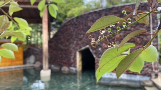 汉拿山温泉